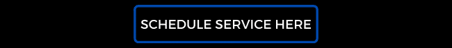 Button inviting users to schedule services online, featuring bold white text on a blue background.