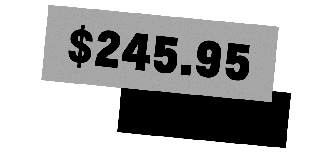 Price tag displaying the amount $245.95 in bold black text on a gray background.